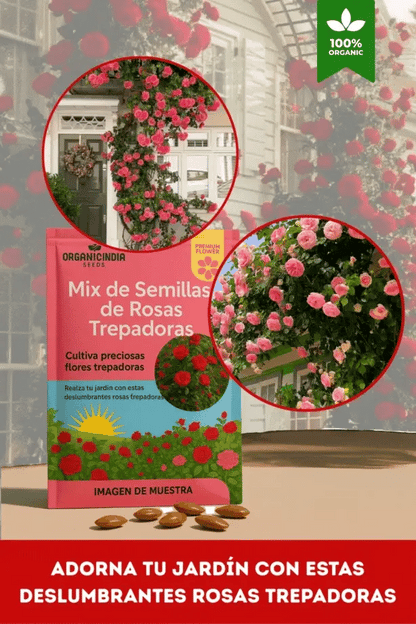 Semillas Mixtas de Rosasy amapolas Trepadoras